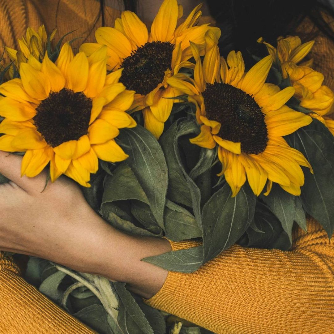 Conoce el día en el que se dan las flores amarillas en marzo 2025 y todos los detalles para regalarlas