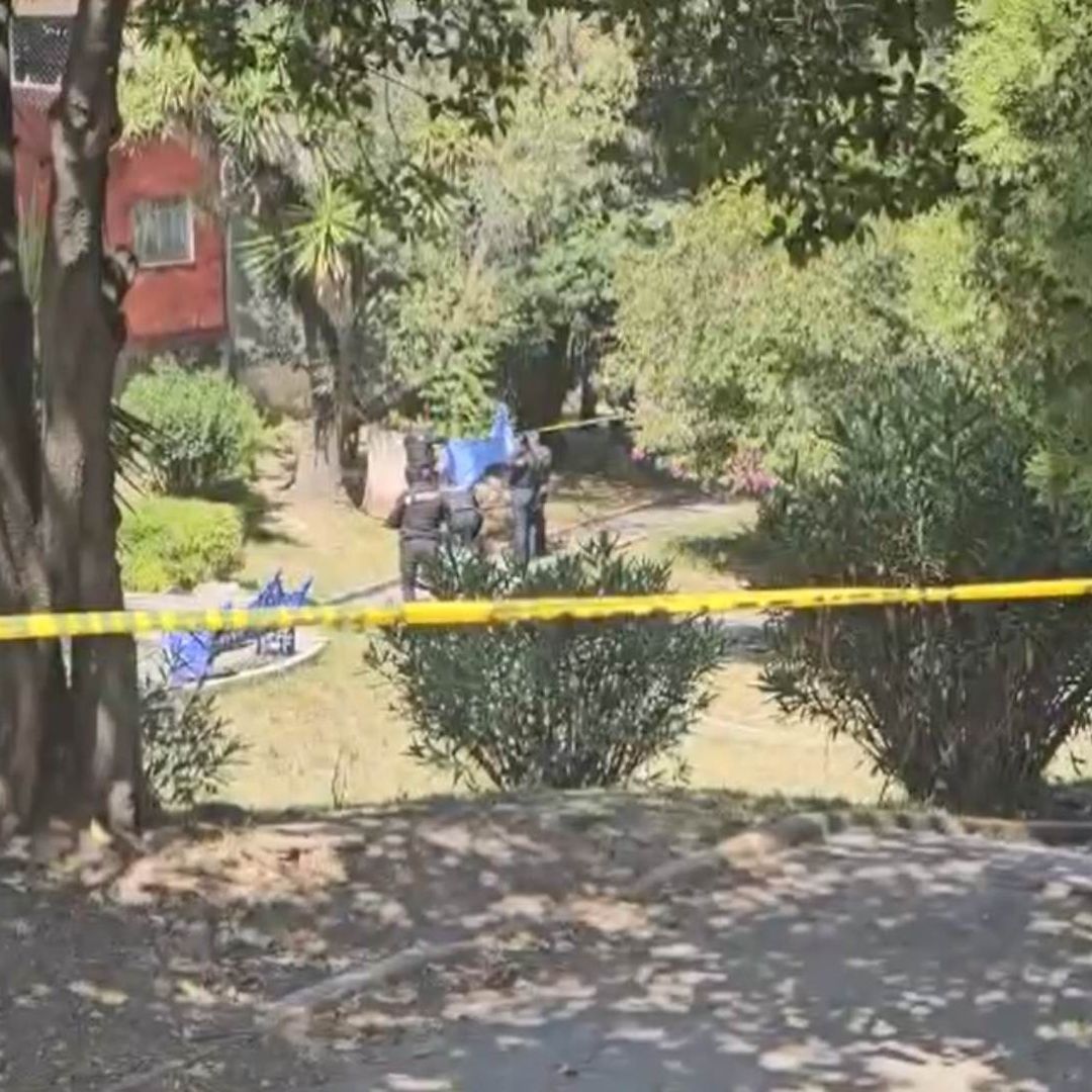 Hombre Muerto Colgado en Árbol de Parque Rómulo O'farril Silva de La Paz, Puebla