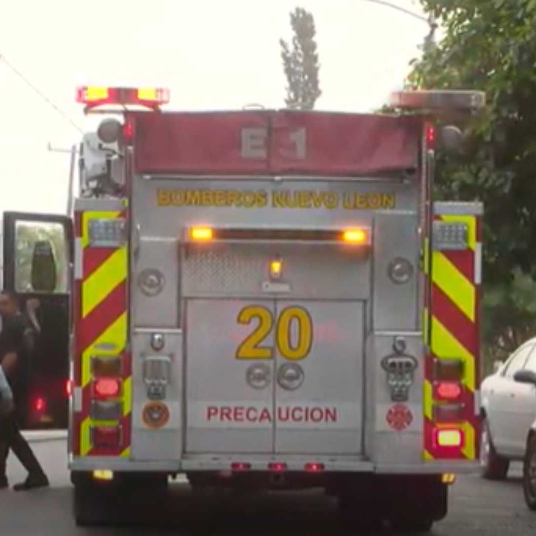 Muere Gato Electrocutado con Cables de Alta Tensión en Colonia Fierro en Monterrey