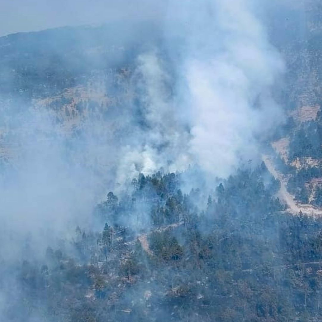 Incendio en Faldas del Nevado de Toluca Afecta Vegetación Endémica