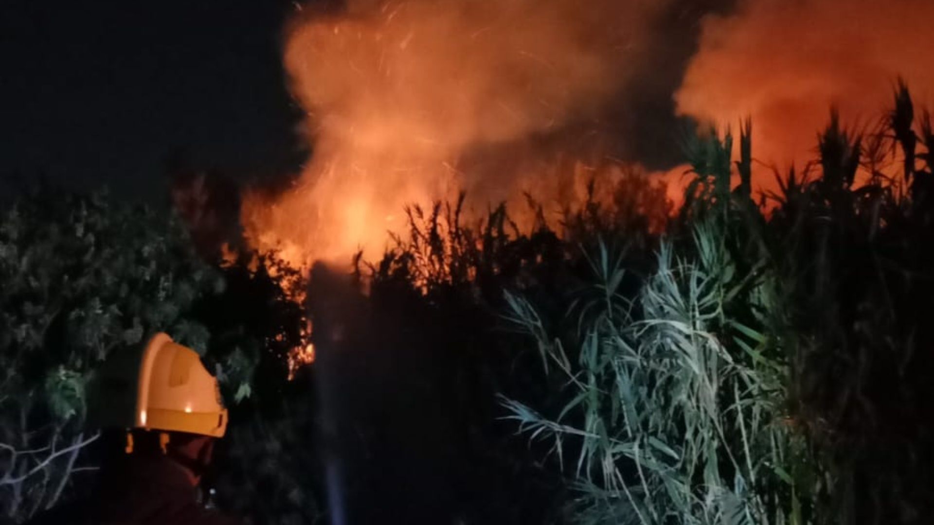 Controlan incendio en el vaso regulador El Cristo, en Naucalpan.