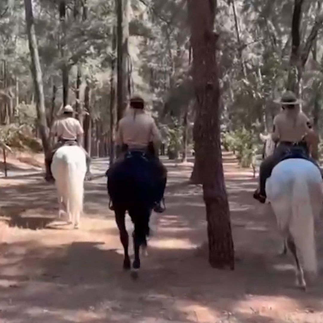 Rescatan a un menor del Bosque Colomos