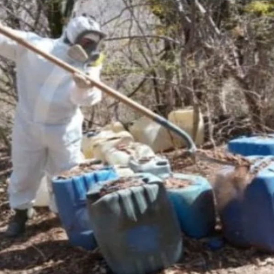 Aseguran 225 Laboratorios Clandestinos en Sinaloa en 20 Días