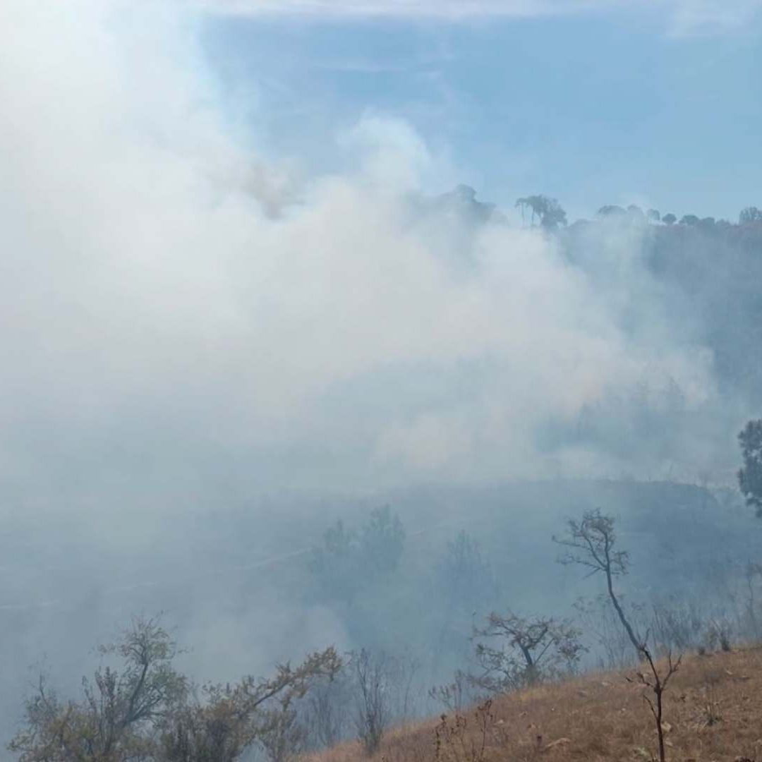 Incendio en el Ejido del Bosque La Primavera, Movilizó a Elementos de las Distintas Corporaciones de Jalisco