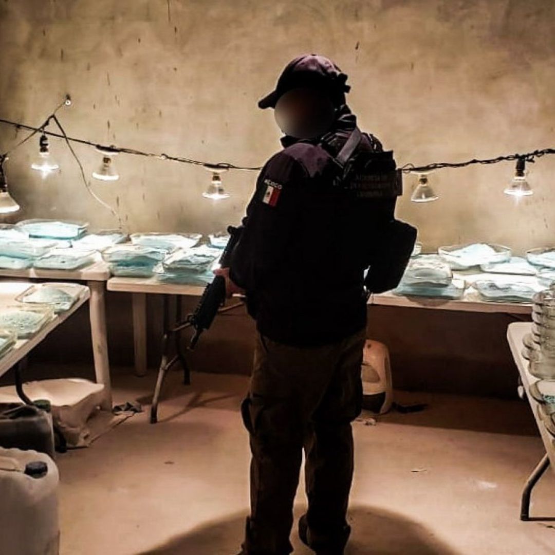 Aumentan Notablemente las Incautaciones de Drogas Sintéticas en México, Revela Informe de la ONU
