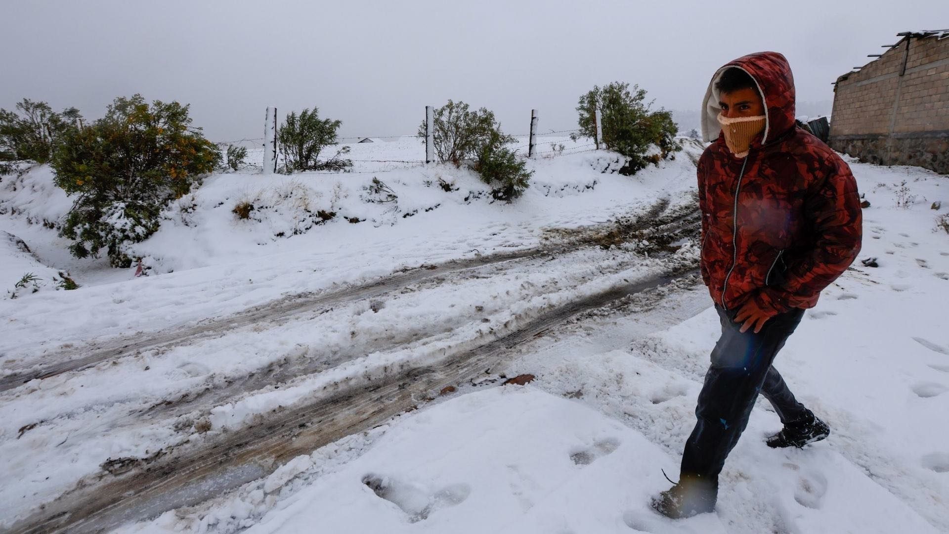 Frente frío 35 traerá nieve en estos estados de México