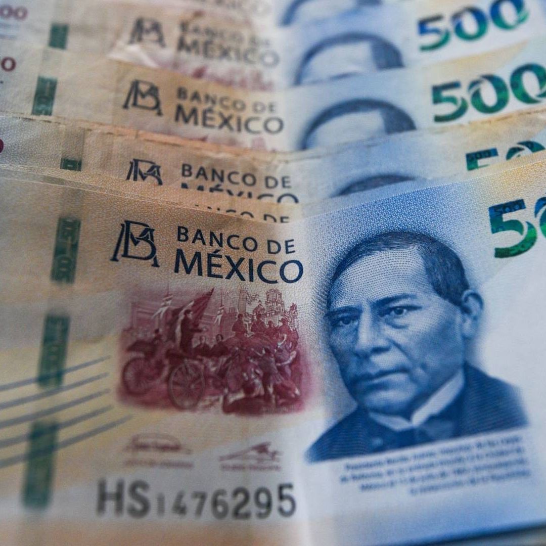 Conoce a partir de cuándo podrás solicitar el Apoyo para Jefas y Jefes de Familia 2025 de 8 mil pesos