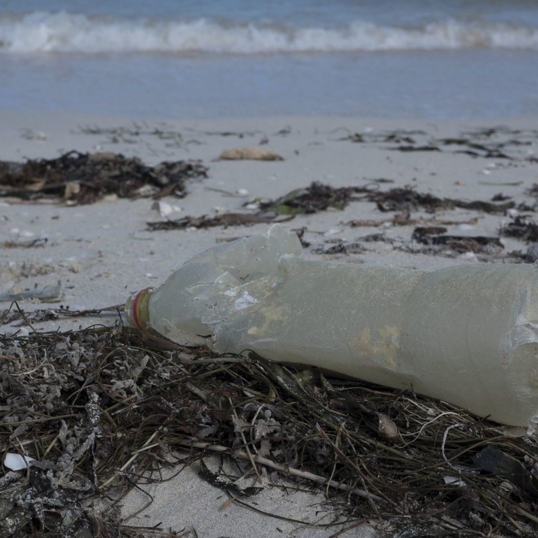 La basura se acumula en la costa yucateca.