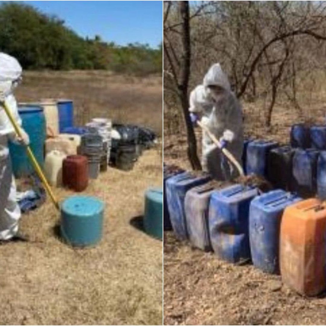 Aseguramiento laboratorios Sinaloa
