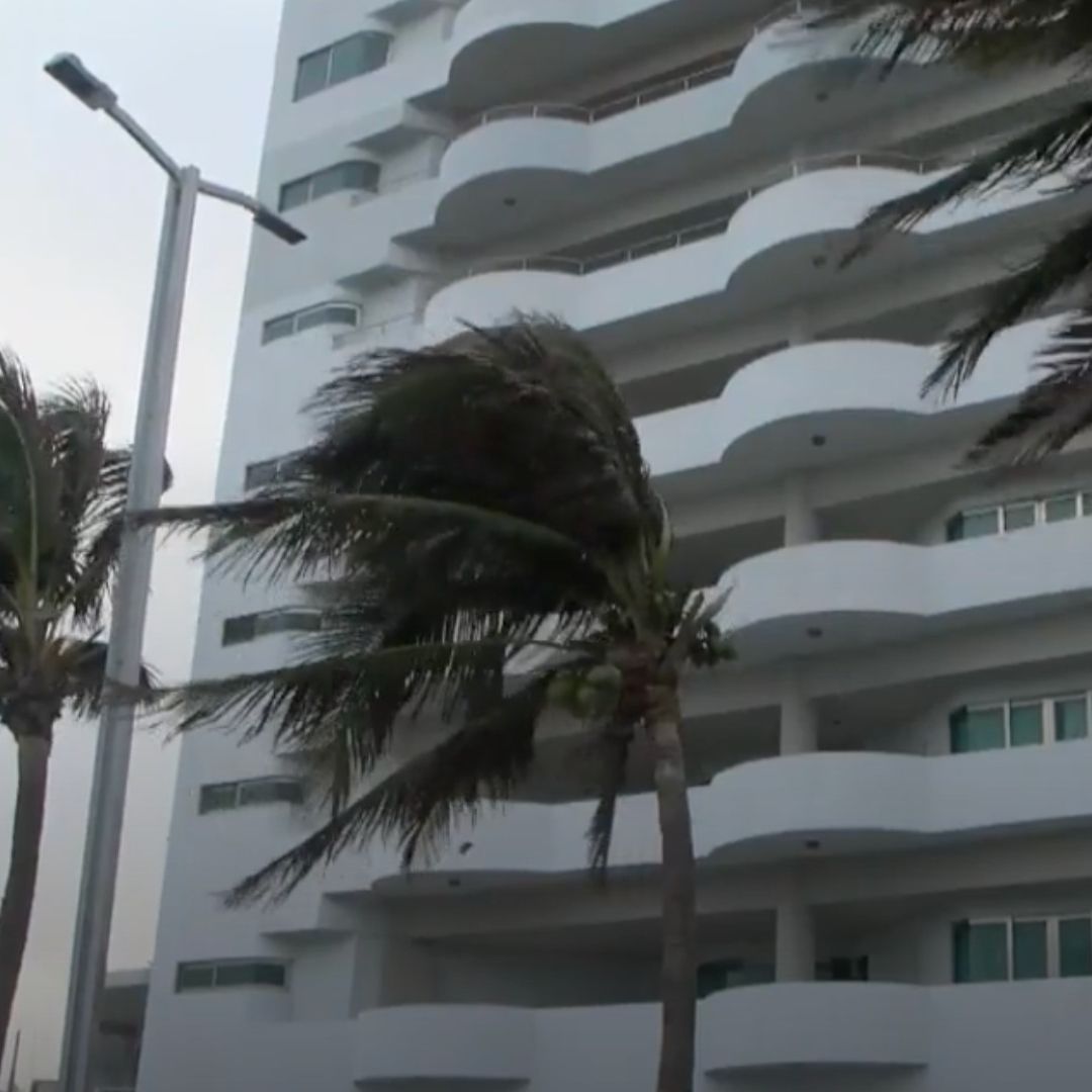 Palmeras vuelan con el Norte en Veracruz