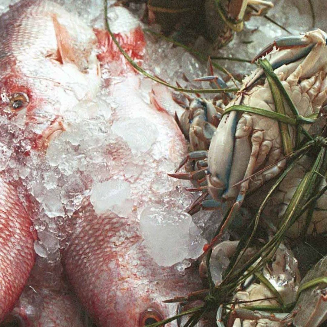 Aumentan enfermedades por consumir alimentos en descomposición en temporada de calor.