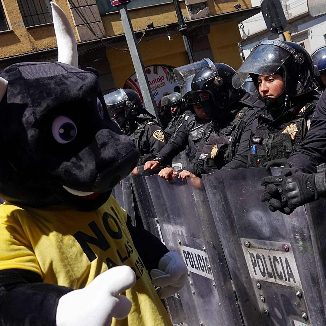 Activistas en defensa de los derechos animales protestan en el Congreso de CDMX