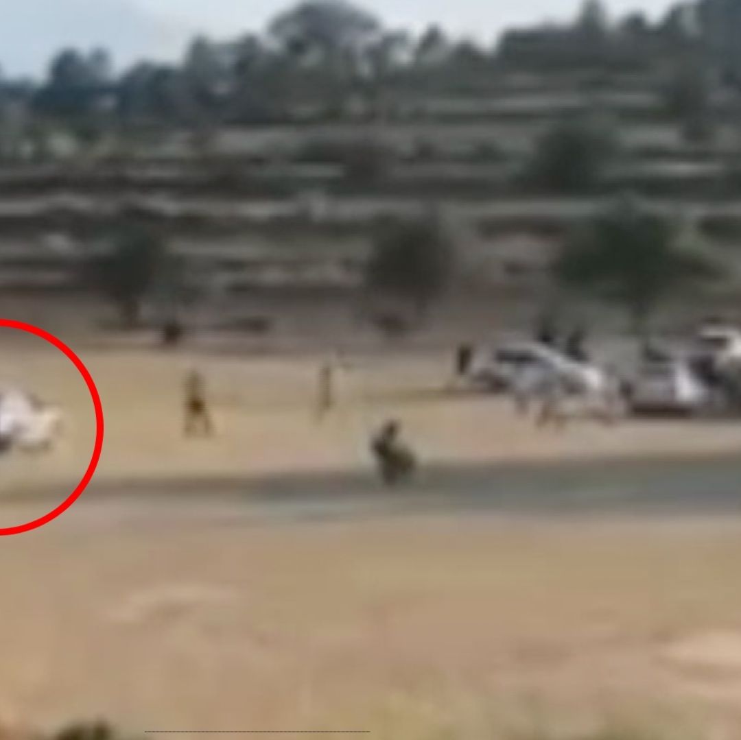 Video: Conductor Ebrio Intenta Arrollar a Equipo de Futbol en Santa Rita Tlahuapan, Puebla