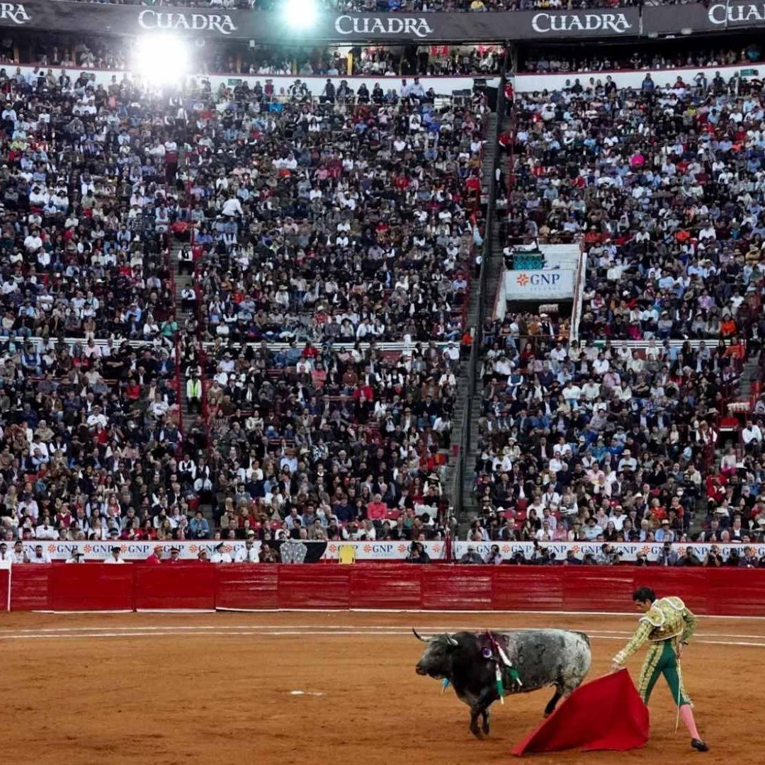 Nuevas reglas para corridas de toros en la CDMX
