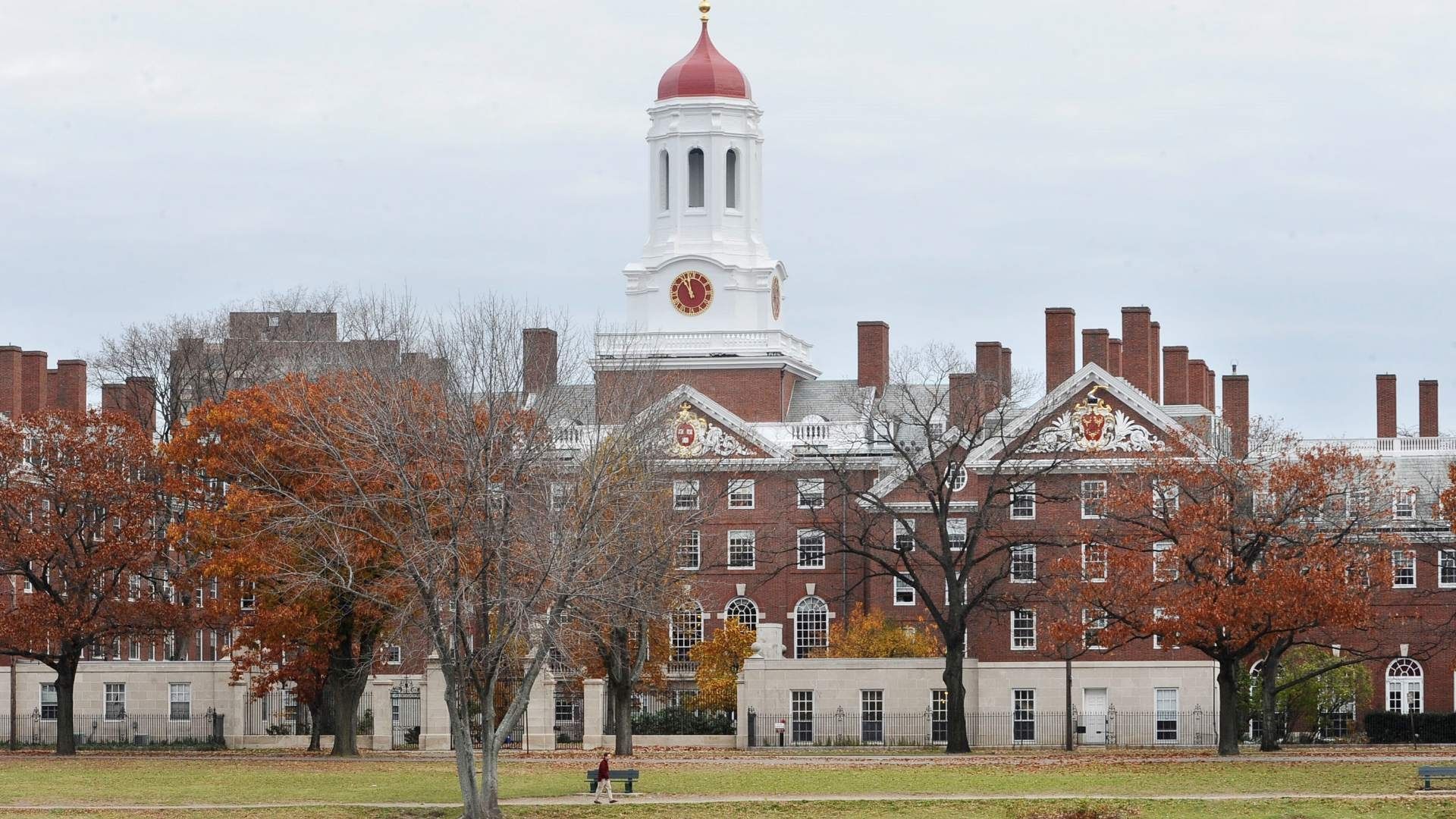 Harvard tendrá planes de estudio gratuitos
