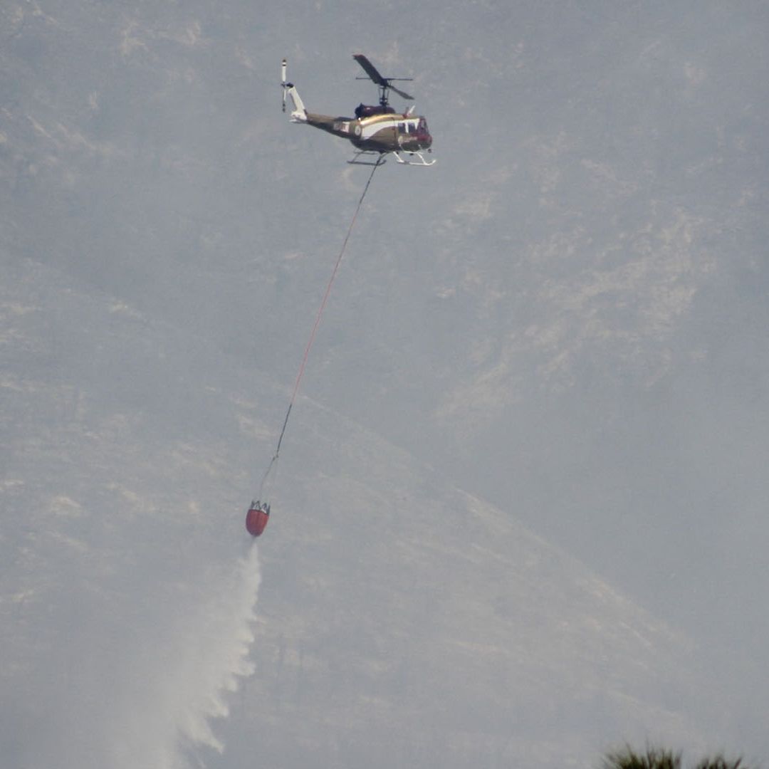 Incendios Forestales en Zona Cañera de Tamaulipas Podrían ser Provocados