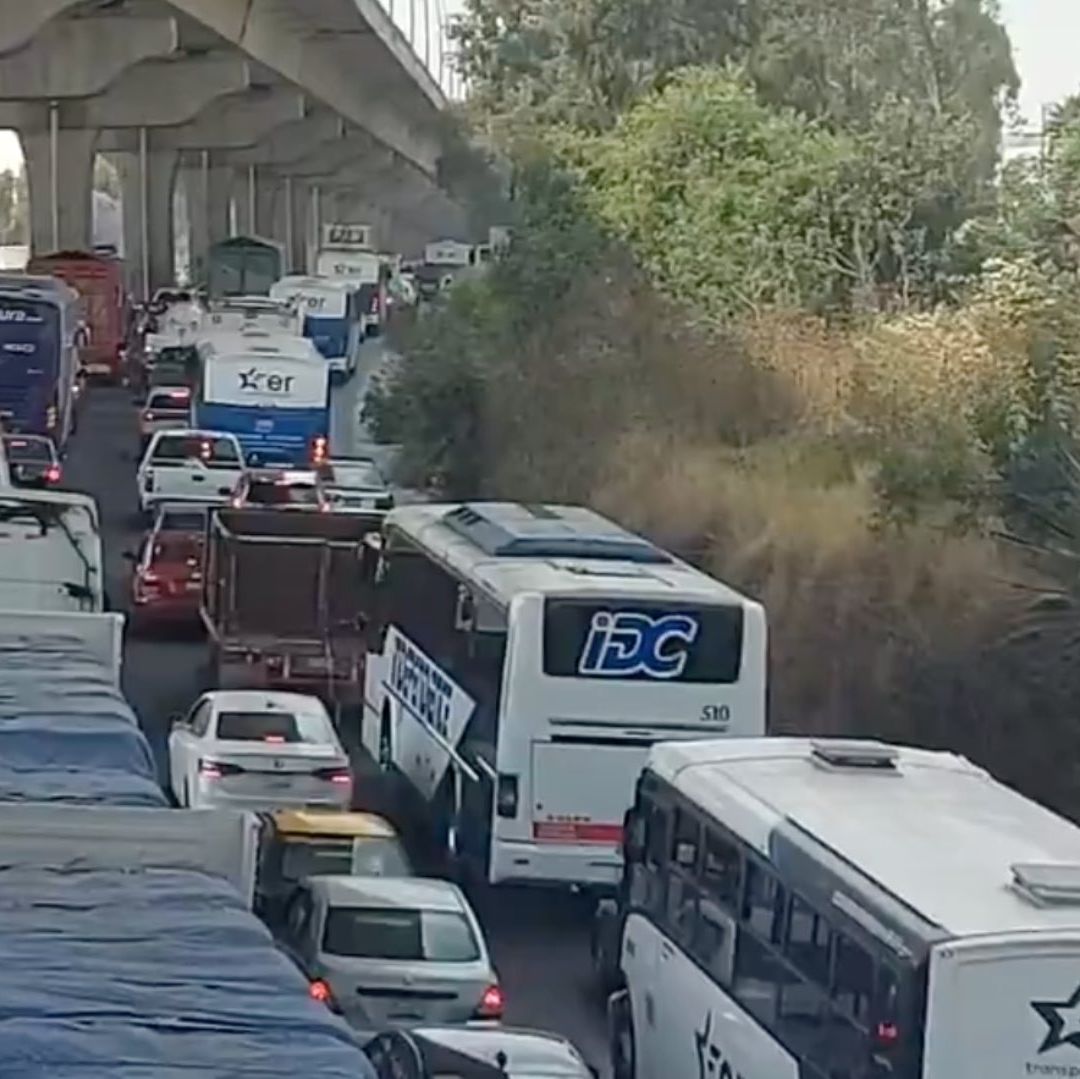 Caos Vehicular en la Autopista México-Puebla por Caída de Rama de un Árbol Altura de Finsa