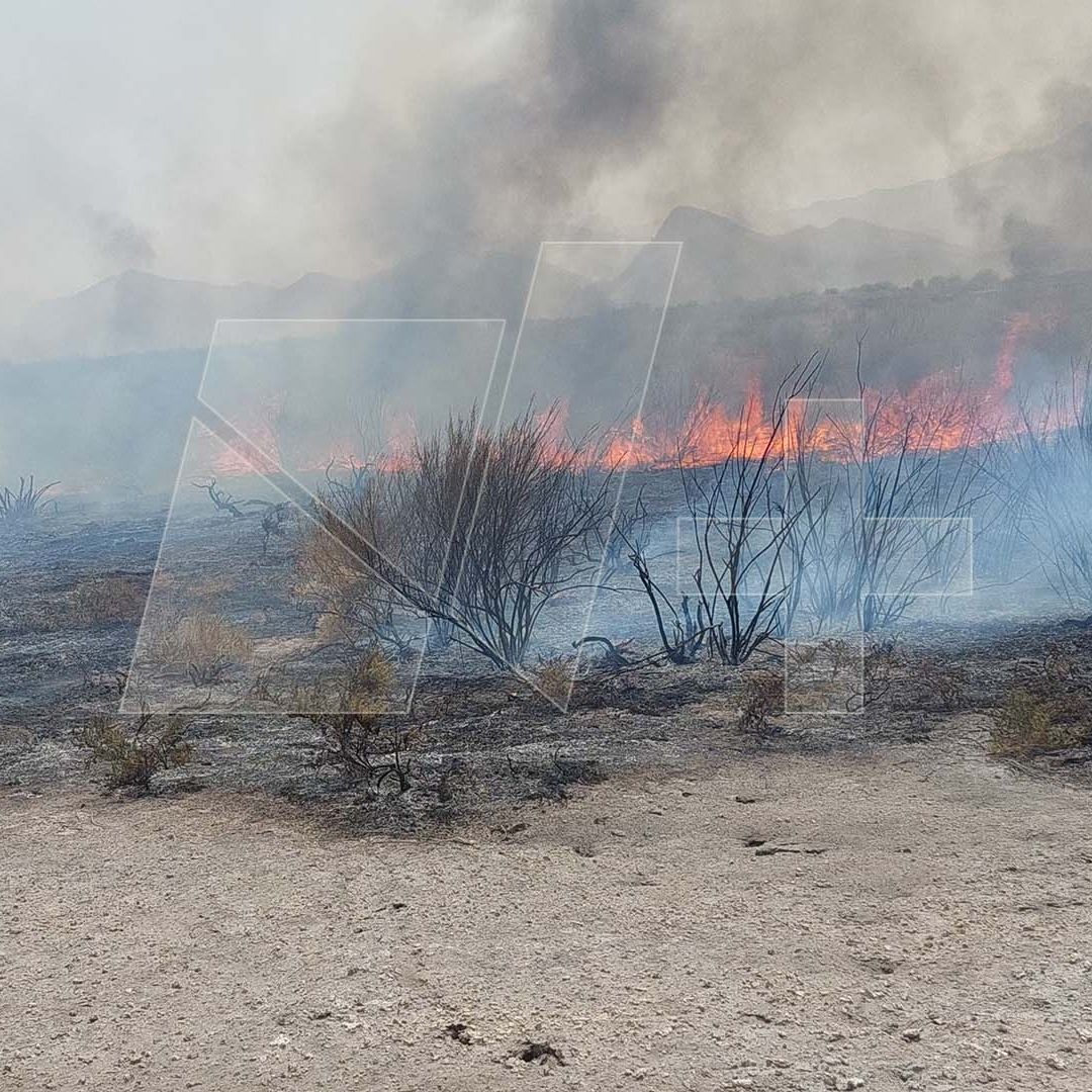 Incendio Consume 50 Hectáreas de Pastizales en Viesca