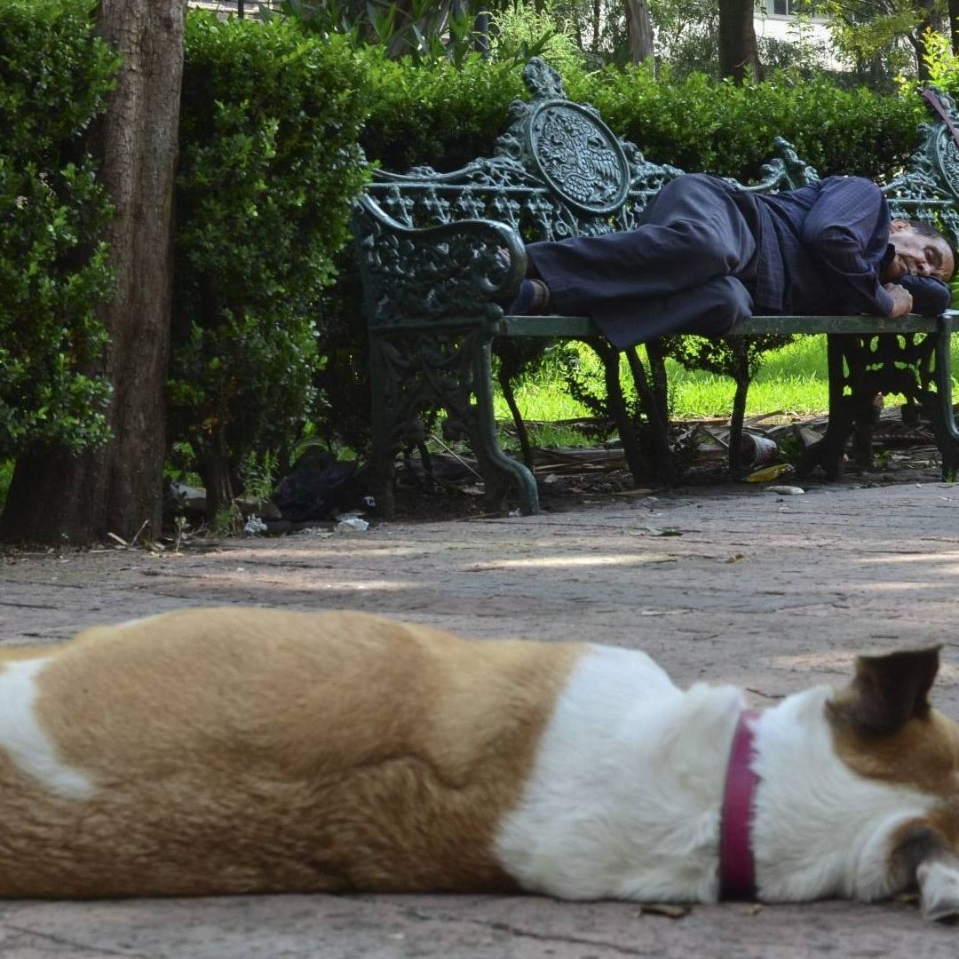 ¿Un 'Coyotito'? Habrá Siesta Masiva 2024 en CDMX; Así te Registras para Participar
