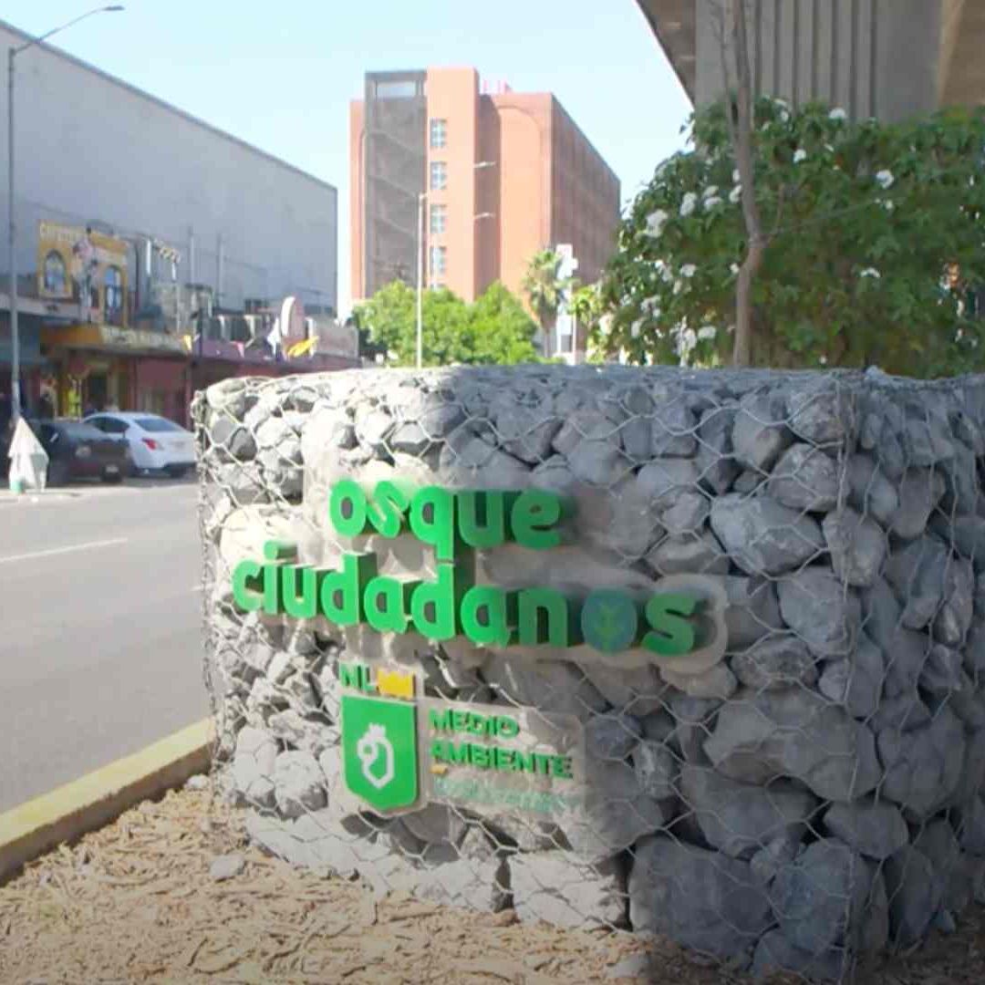 Exigen Regios Atención a Bosque Ciudadano Bajo Líneas del Metro