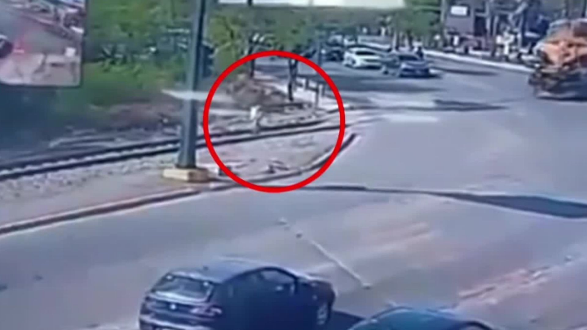 Cámaras captaron en un video el momento exacto cuando un tren mató a una mujer que caminaba por las vías con sus audífonos