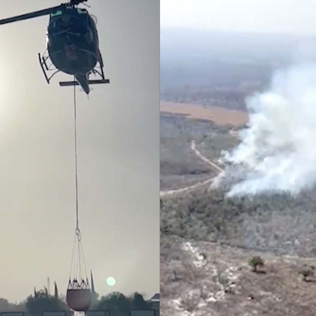 Siguen en Activo 3 Incendios Forestales en Tamaulipas