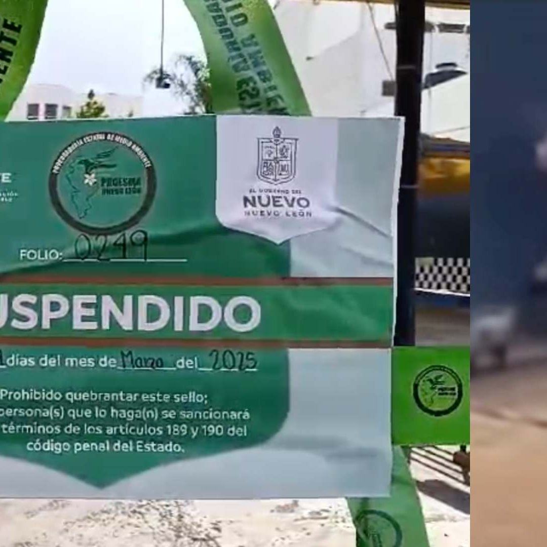 Mata a Tlacuache a Golpes en Car Wash, en Monterrey; Buscan a Agresor