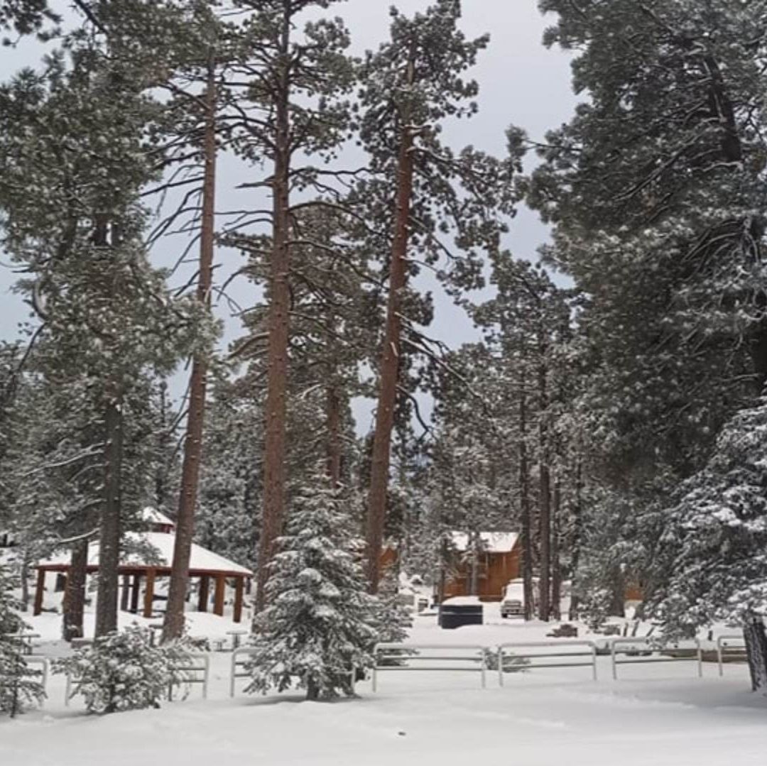 Frente Frío 40: Cae Nevada en La Rumorosa y Sierra San Pedro Mártir