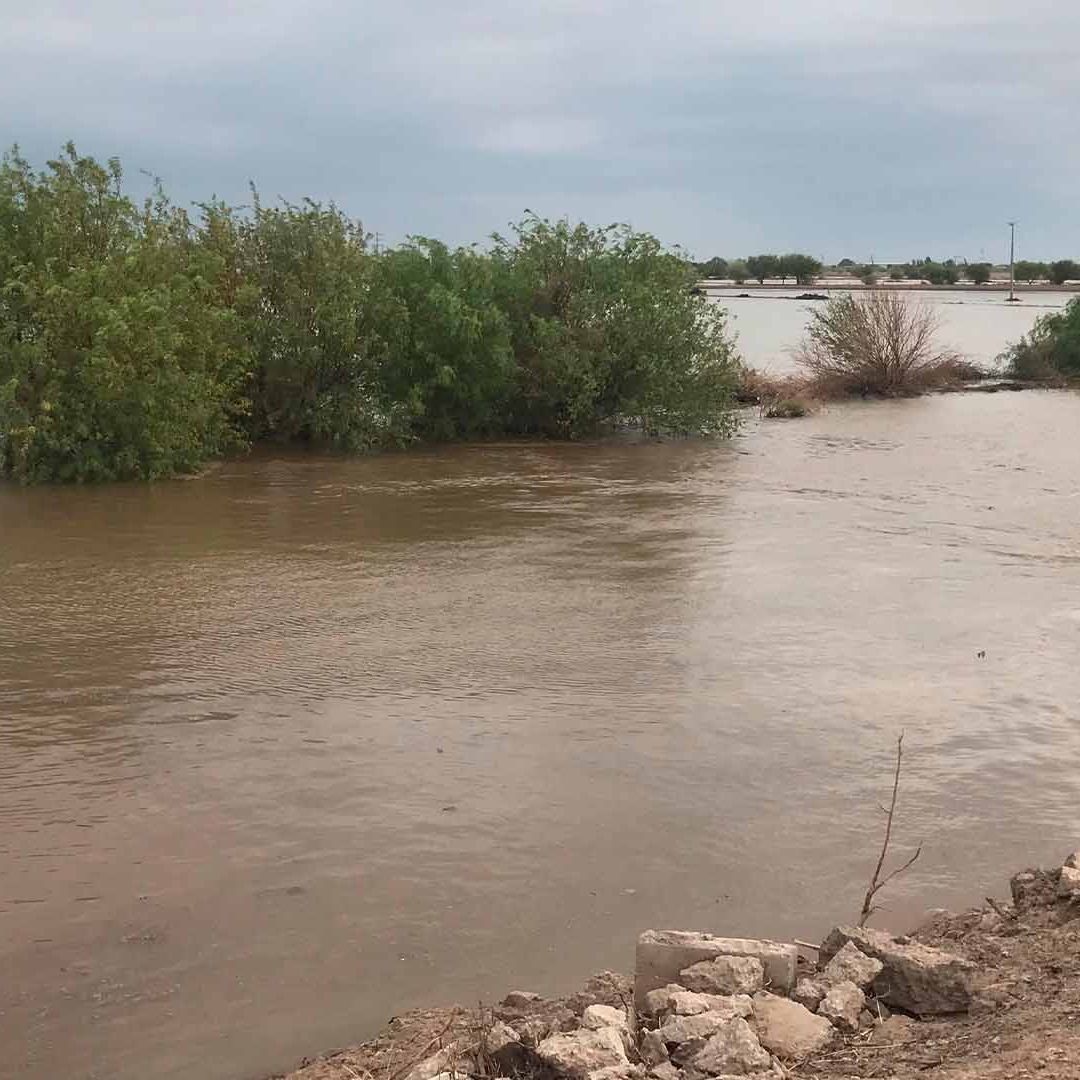 Canal de Riego se Desborda al Colapsar en Francisco I. Madero