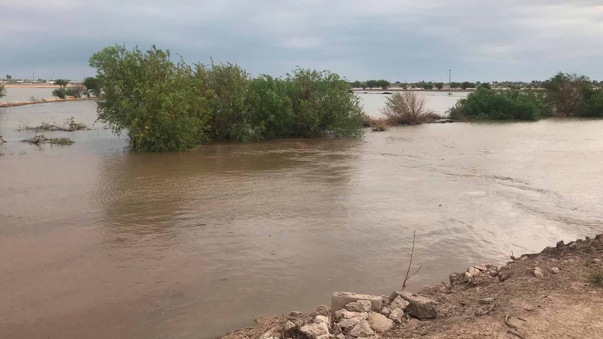 Canal de Riego se Desborda al Colapsar en Francisco I. Madero