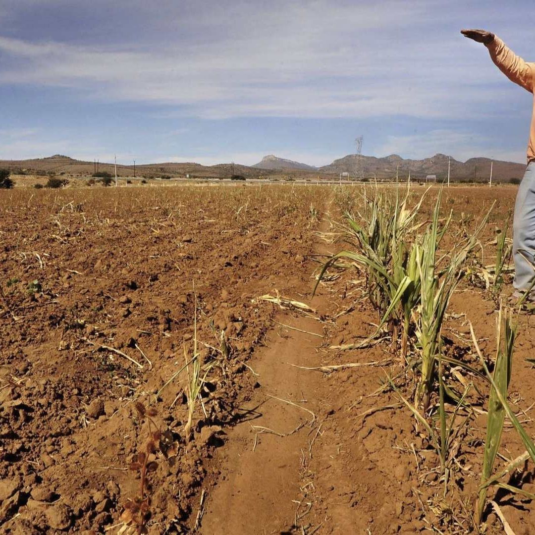 Así Se Ve la Sequía en México: ¿Qué Estados Son los Más Afectados por la Falta de Agua?