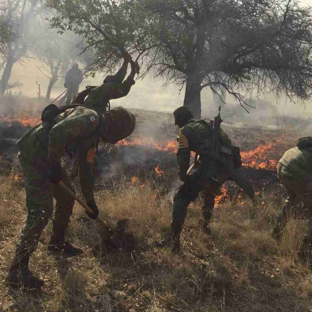 Entrenan a militares para combatir incendios forestales en Colima