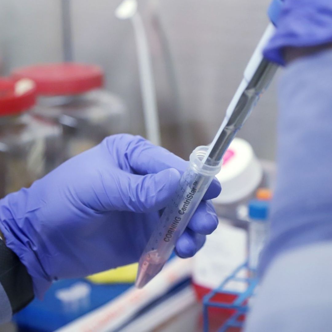 VPH y el cáncer cervicouterino