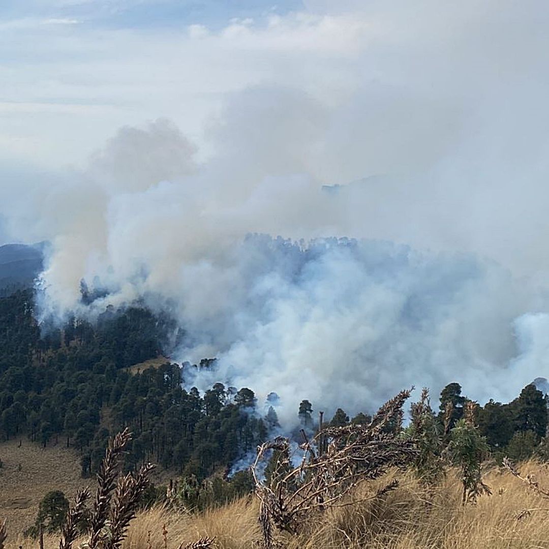 Suman cinco días de incendio en parque nacional Izta-Popo