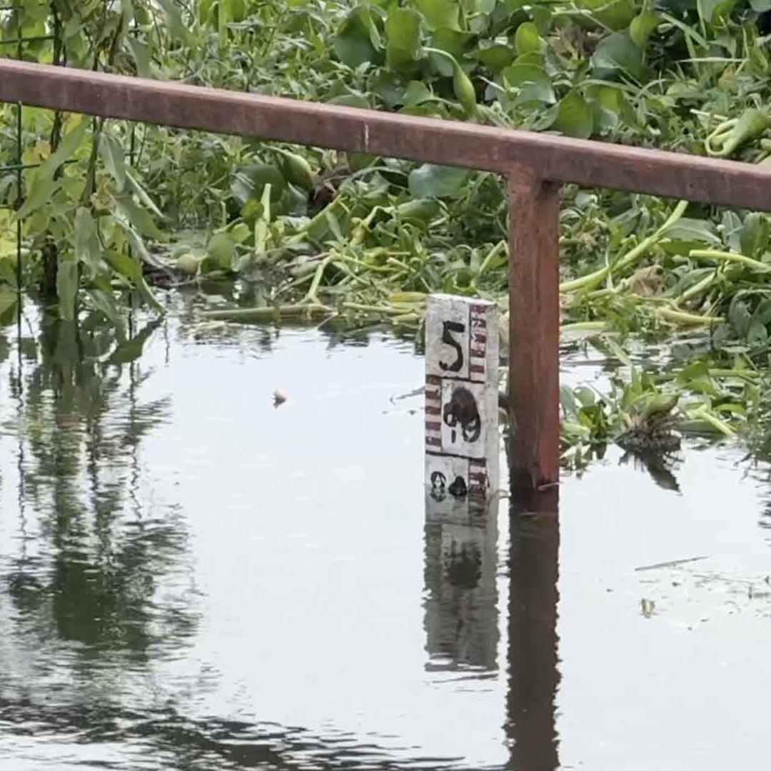 Sube Nivel de Río Bravo Luego de Lluvias en Frontera Norte de Tamaulipas