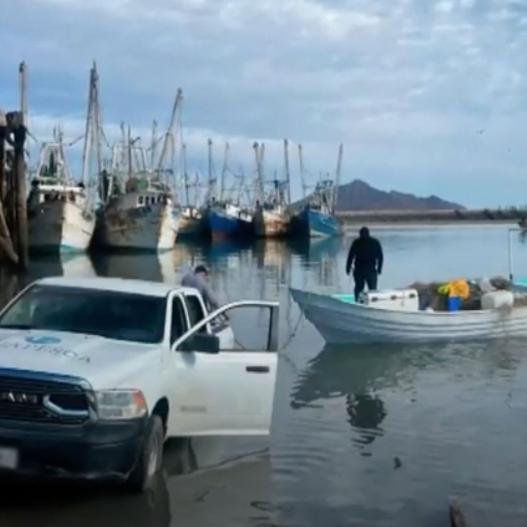 5 Pescadores Detenidos por Prácticas Ilegales en Zona de la Vaquita Marina