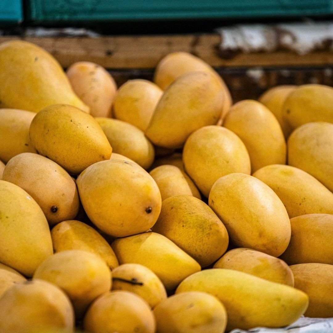 Hombre Ataca a 7 Niñas de Primaria por Cortar Mangos de Su Árbol