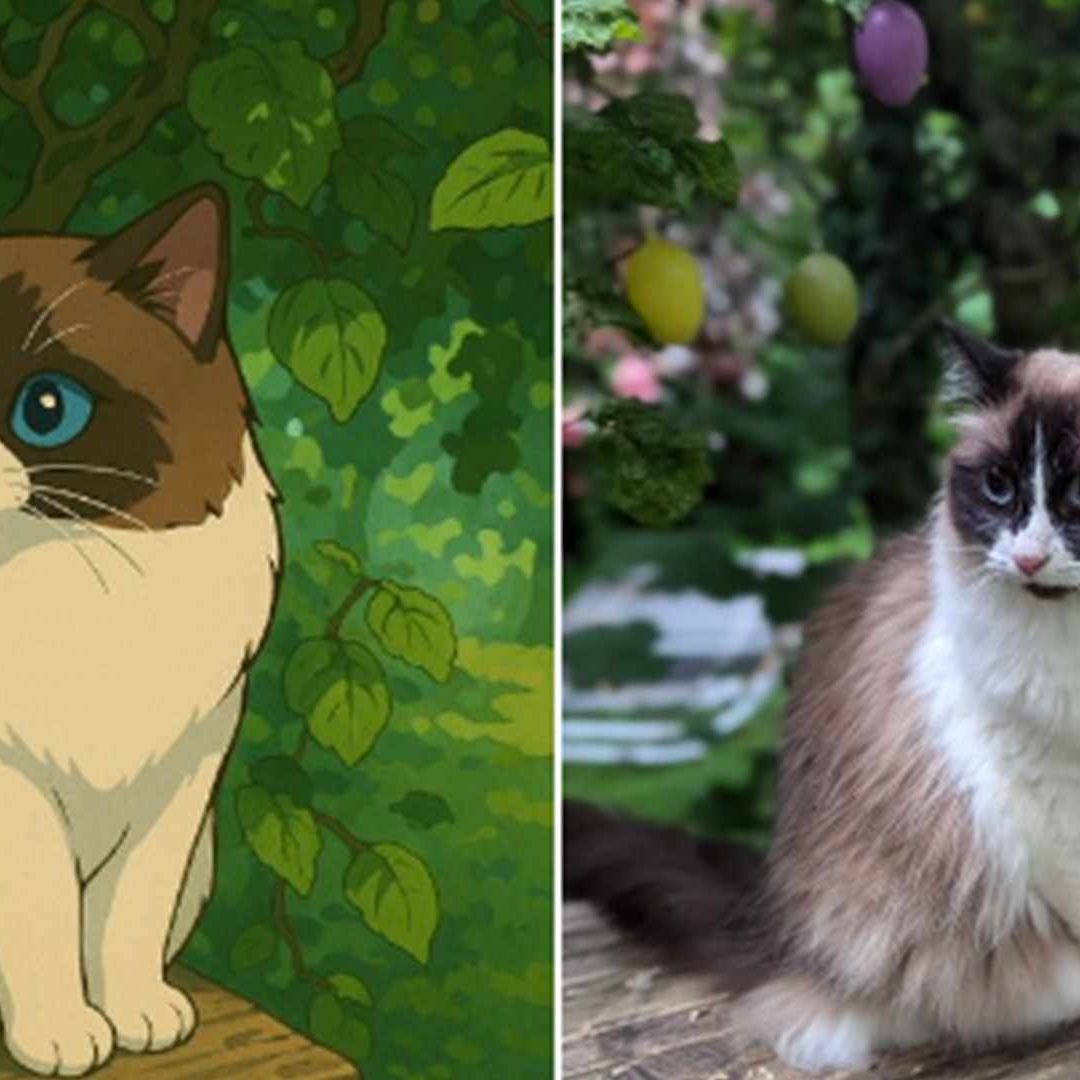 Imágenes tipo Studio Ghibli