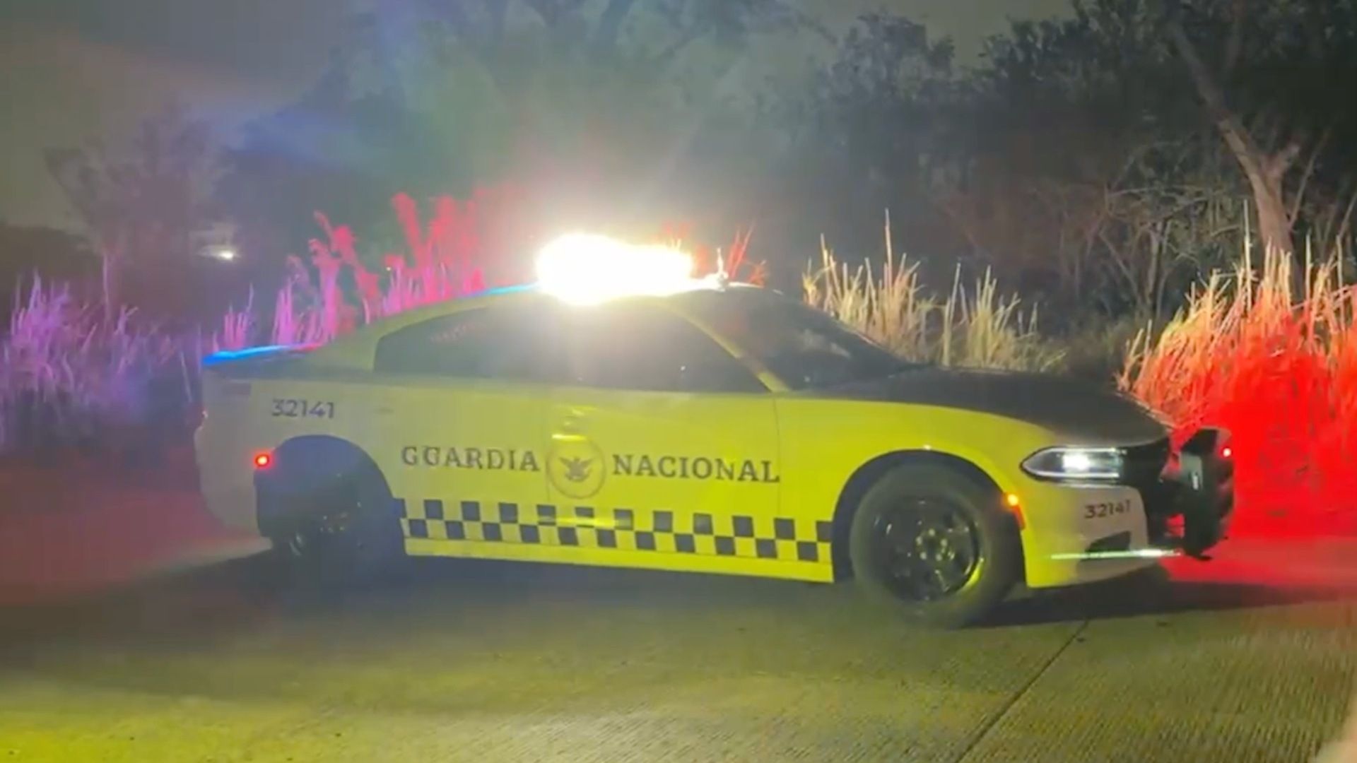 Accidente Kilómetro 13 y Medio. Motociclista Muere tras Chocar Contra Vaca Veracruz