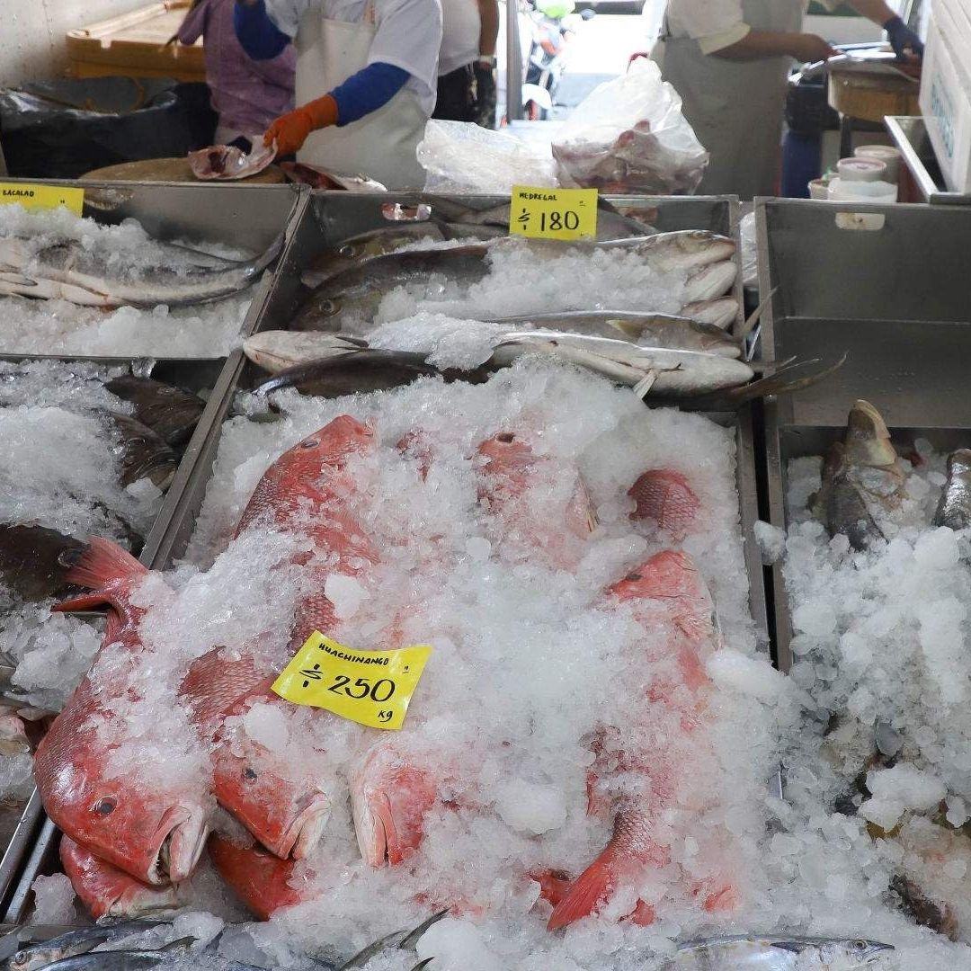 Mercado de La Nueva Viga Enfrenta Crisis por Falta de Agua y Hielo