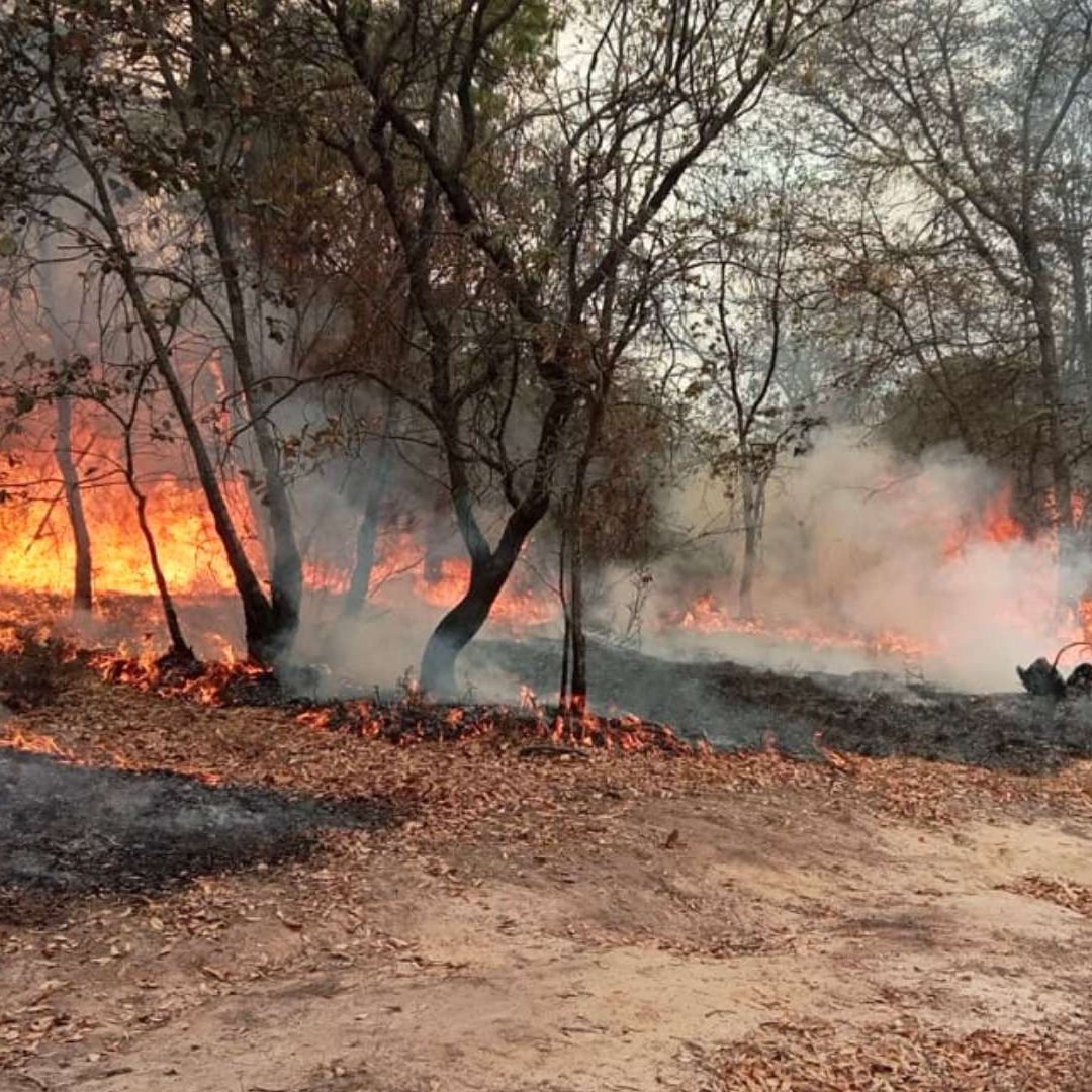 Incendio Forestal en Limites de Amealco y Huimilpan