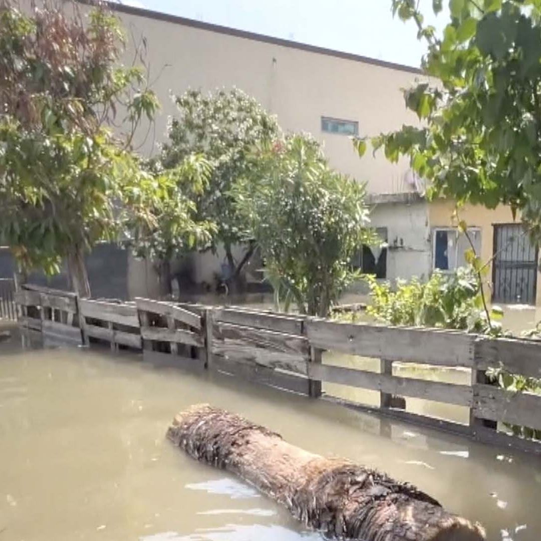 Activan Servicio de Médico las 24 Horas Vía Whatsapp a Afectados por Lluvias en Reynosa