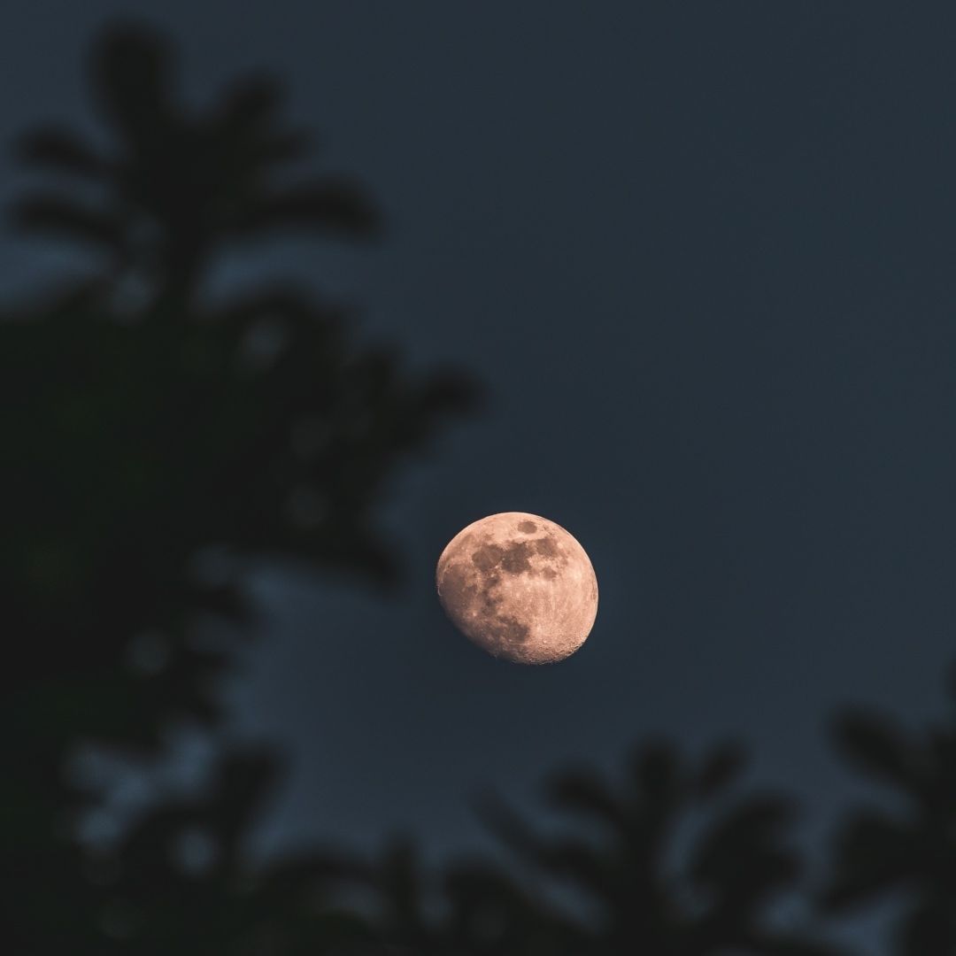 Esto sucederá con el calendario astronómico de 2025. Foto: Freepik