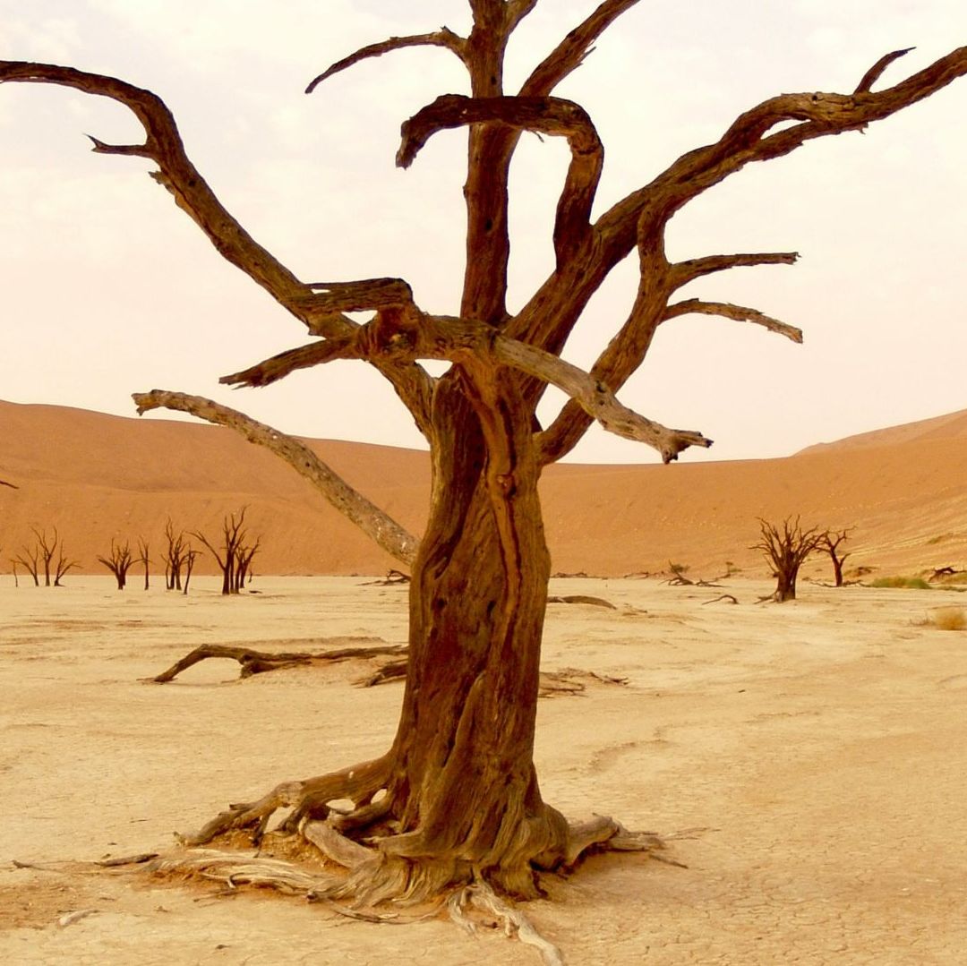 ONU Alerta de Consecuencias del Cambio Climático con Reportes Meteorológicos del 2050