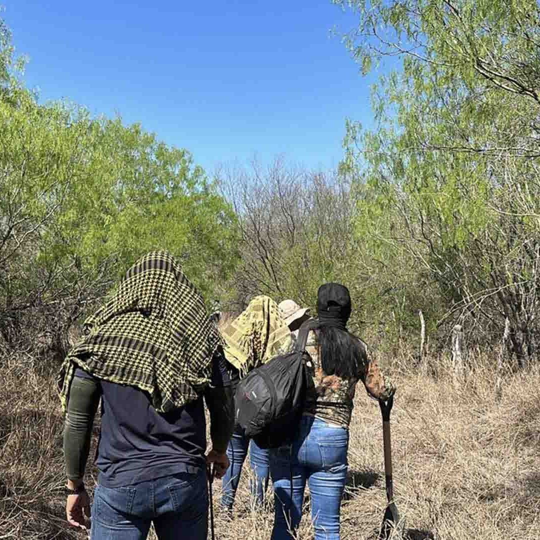 Fiscalía de Tamaulipas Confirma Hallazgo de Restos Humanos en Ejido 'La Rosita'