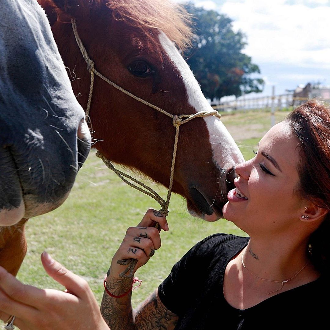 Puebla Activa ‘Ley Elena’ de Bienestar Animal; Castiga la Zoofilia y el Envenenamiento de Animales