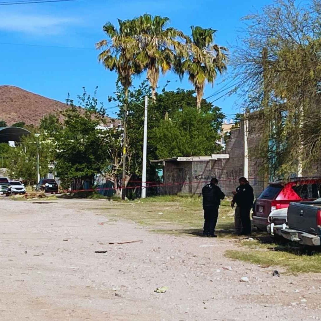Localizan Hombre Sin Vida Envuelto en Cobijas al Sur de Chihuahua |Foto: N+