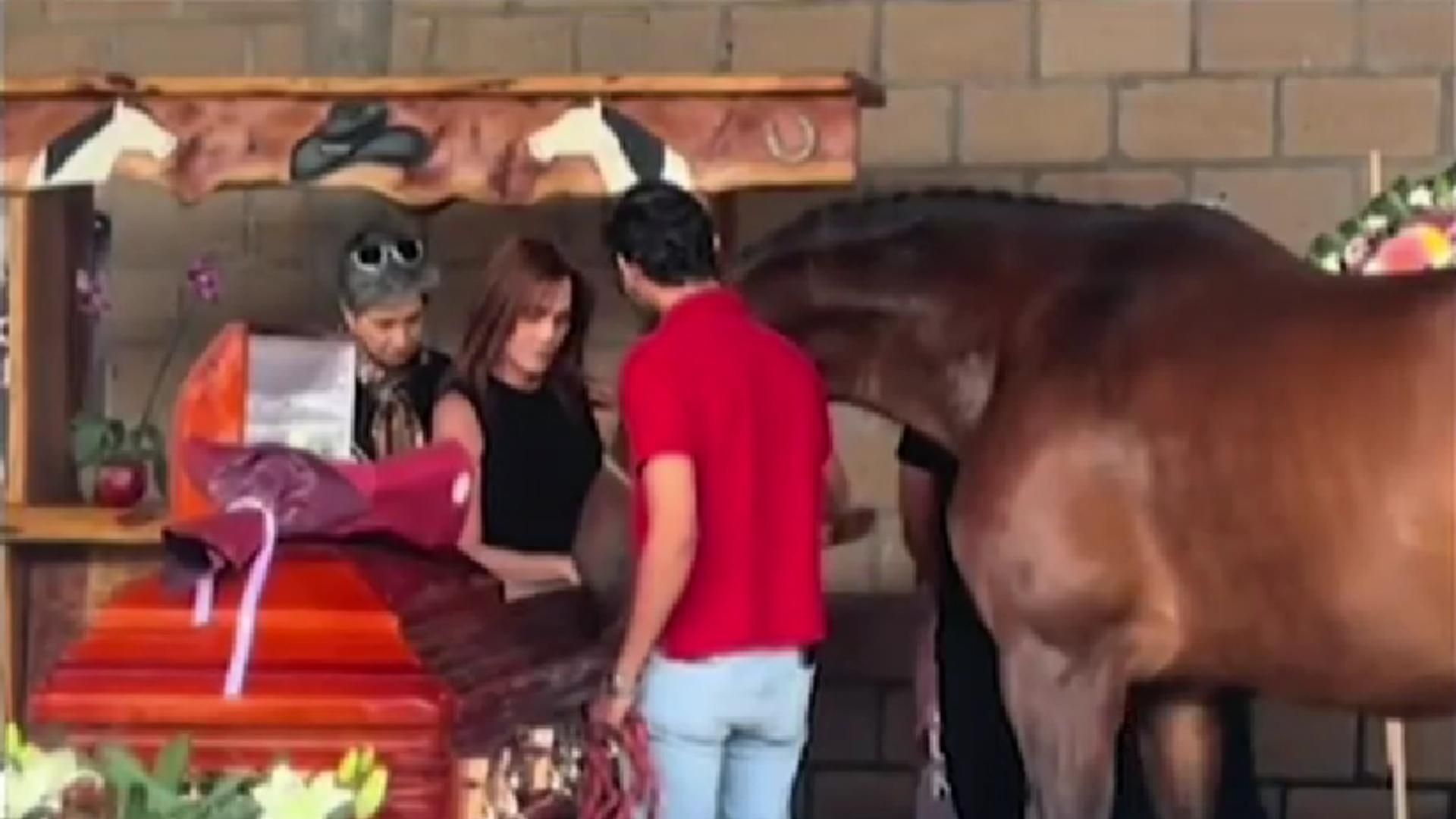 Dan Último Adiós a Elena Larrea Familiares, Amigos y Animales Rescatados por la Activista