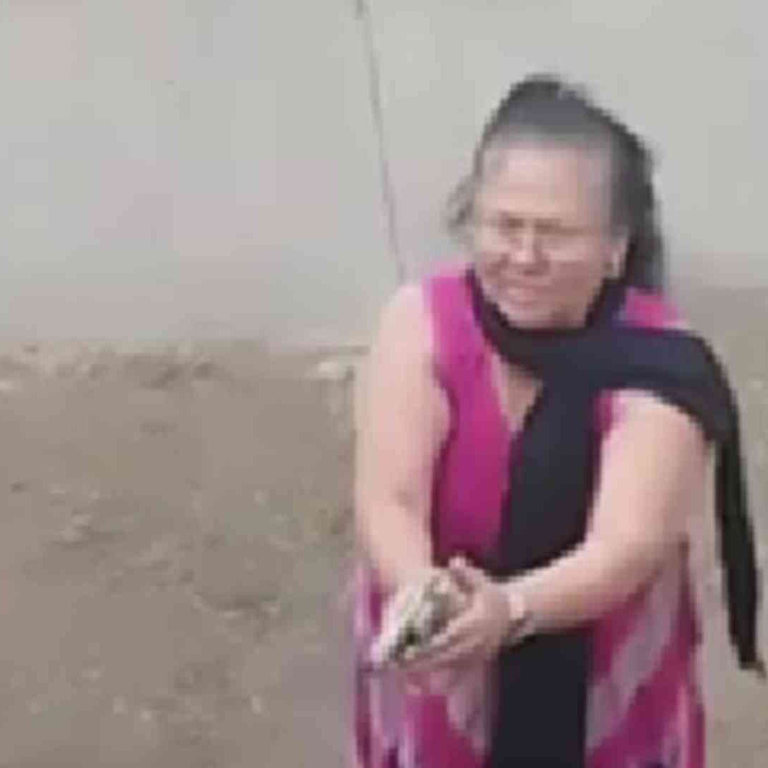Mujer de la tercera edad dispara contra familia