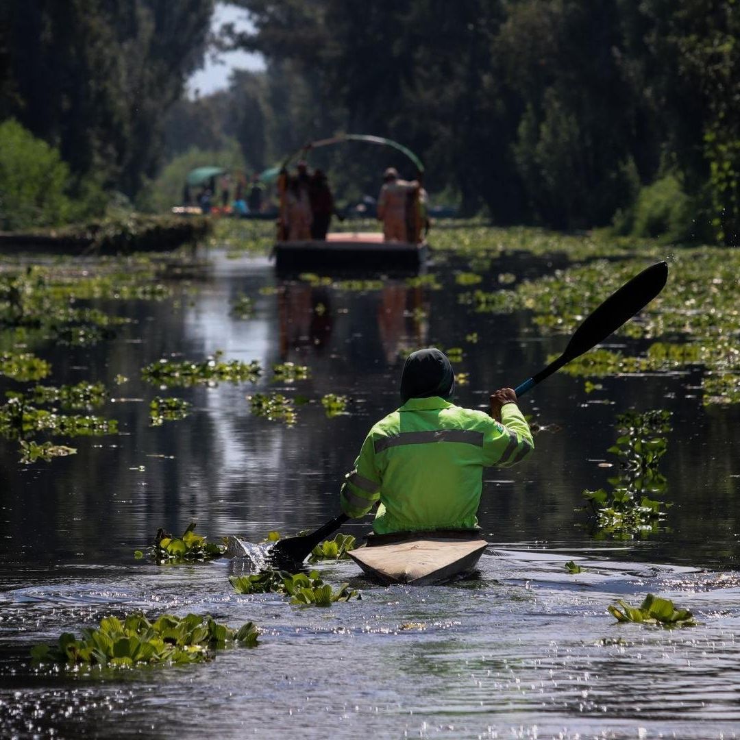 ¿Se Cancela? Sedema Se Pronuncia sobre Evento 'Sonic Jungle' en la Zona Chinampera de Xochimilco